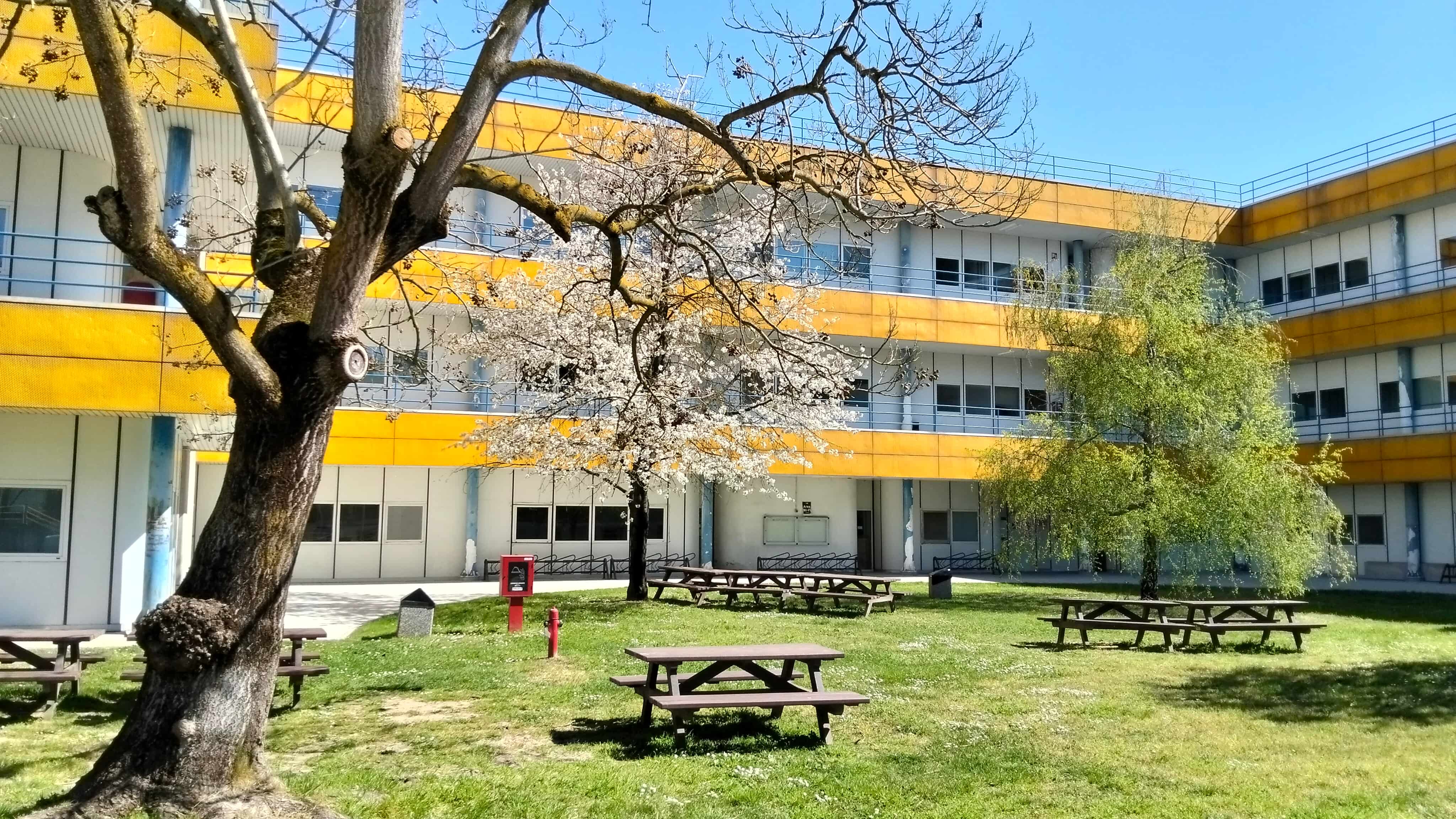 Dipartimento di Matematica di Pavia